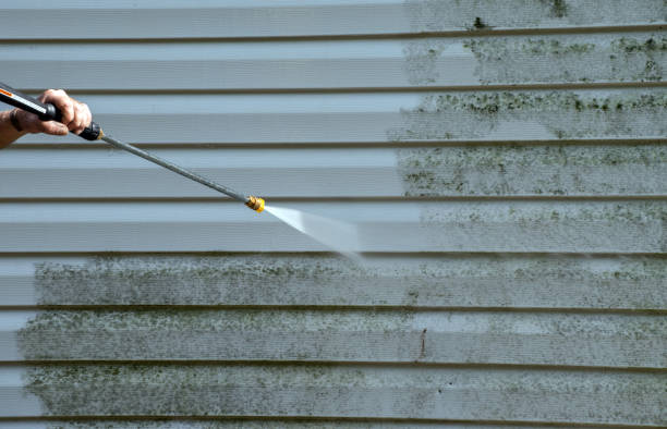 Best Gutter Cleaning  in Kaufman, TX